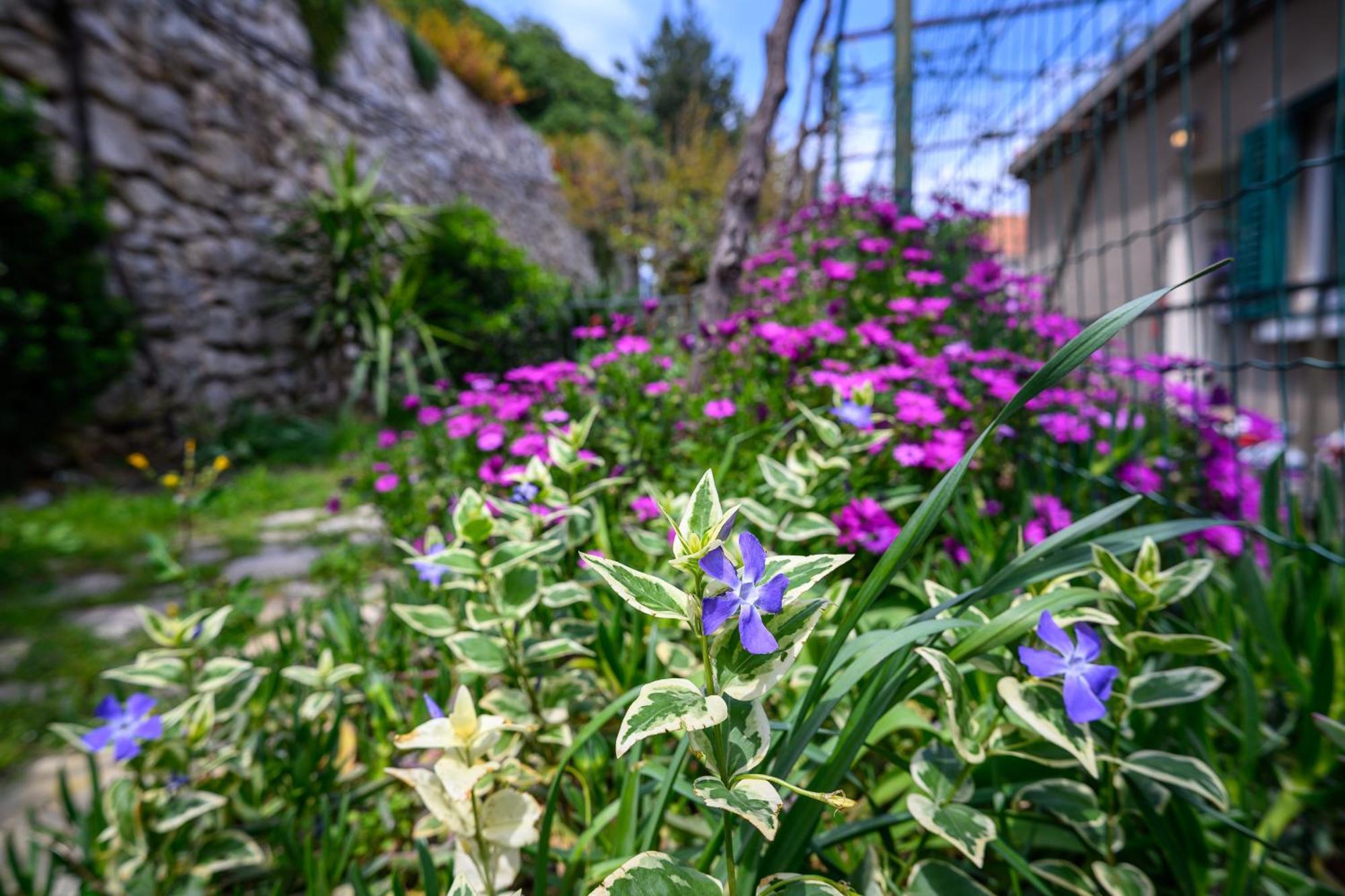 Green Holiday Dubrovnik Exterior photo